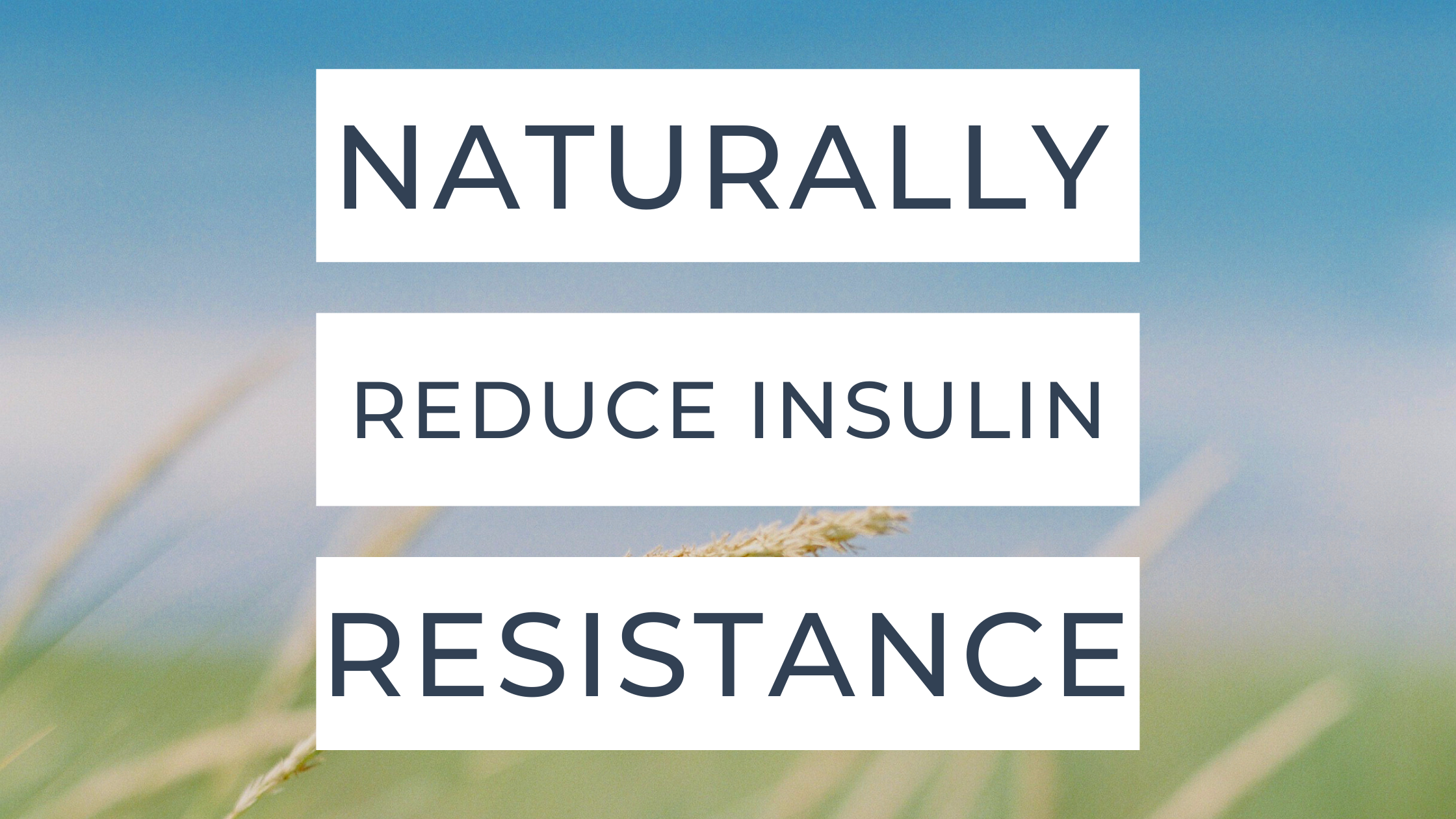 Naturally Reverse Insulin Resistance 