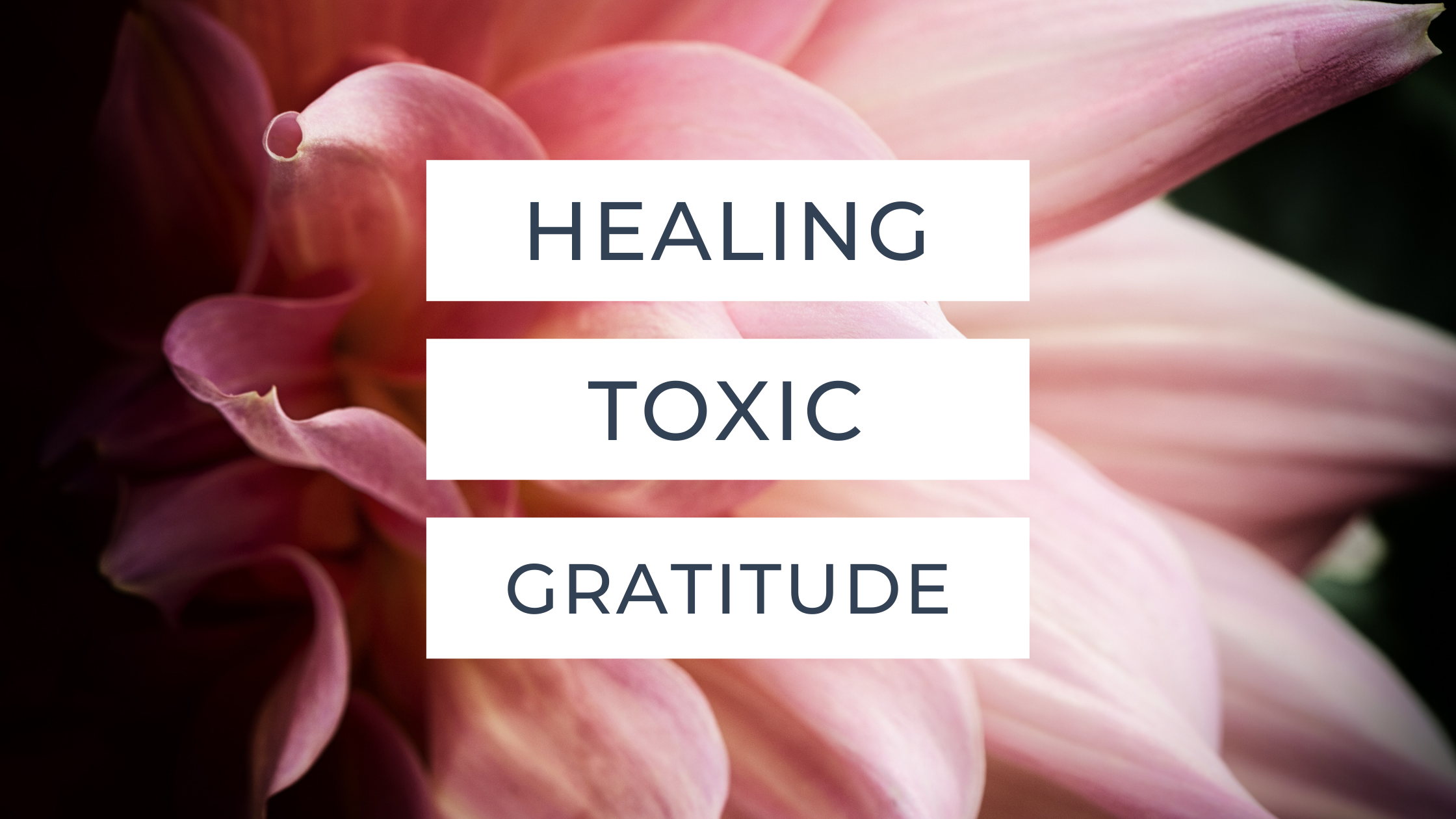 Healing Toxic Gratitude