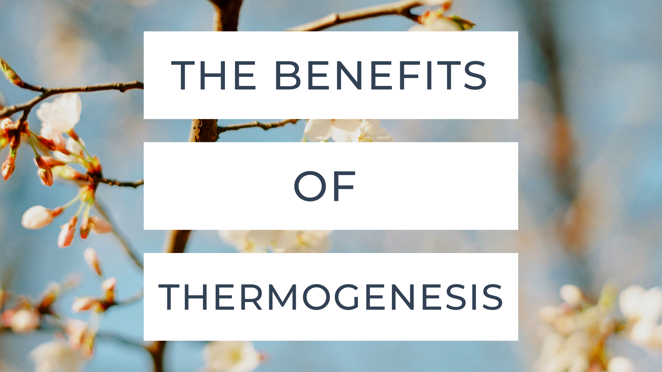 Benefits of Thermogenesis