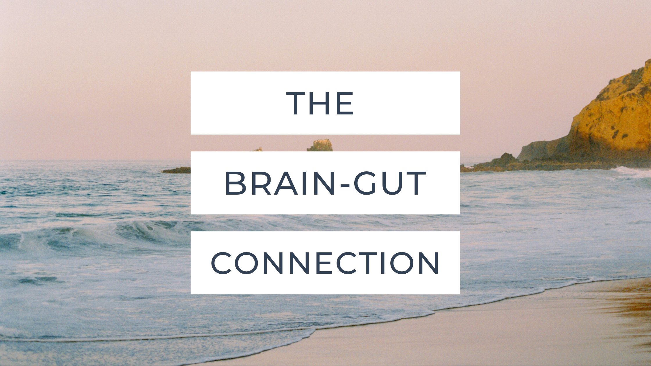 The brain-gut connection