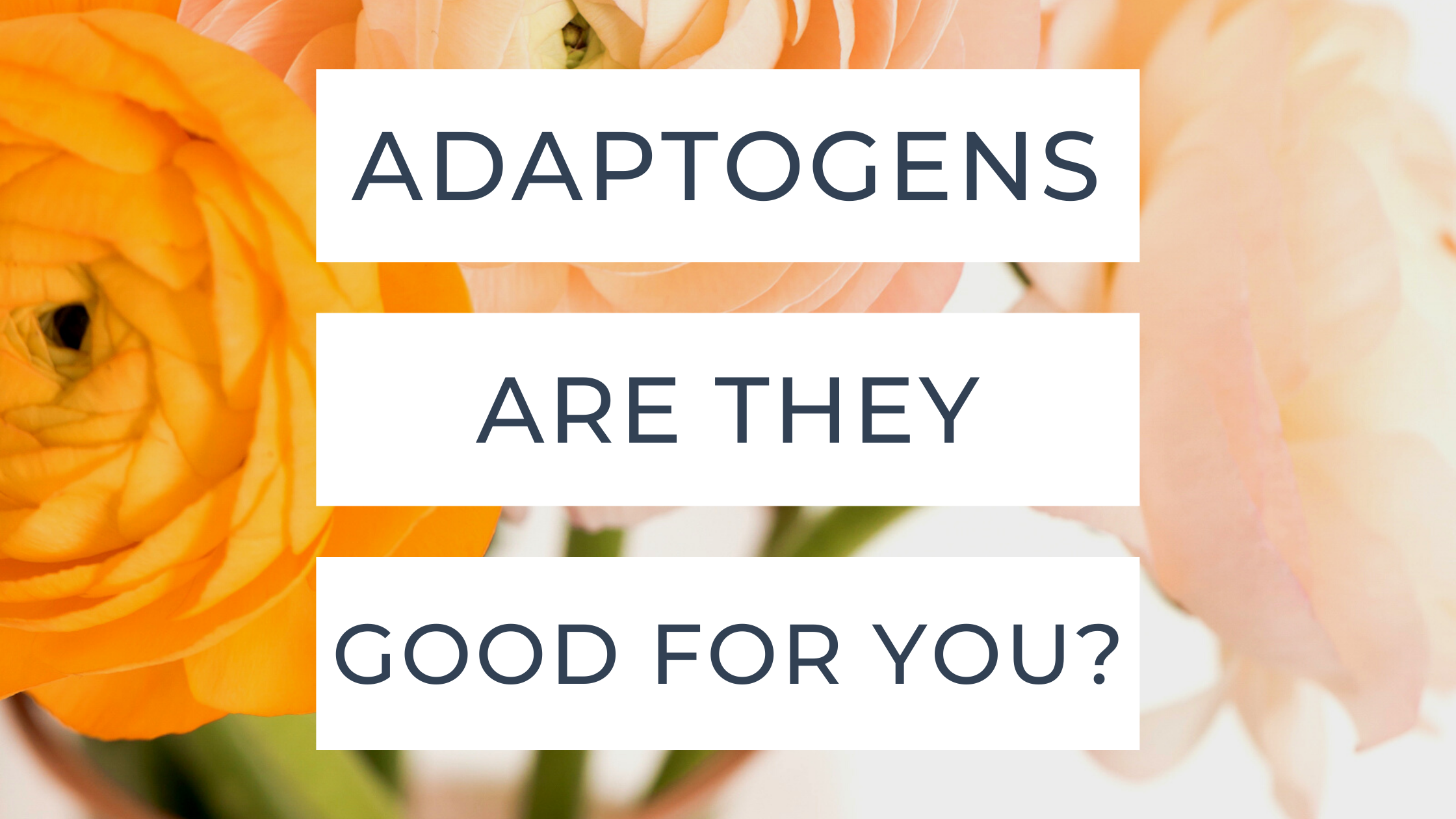 Adaptogens: are they good for you?