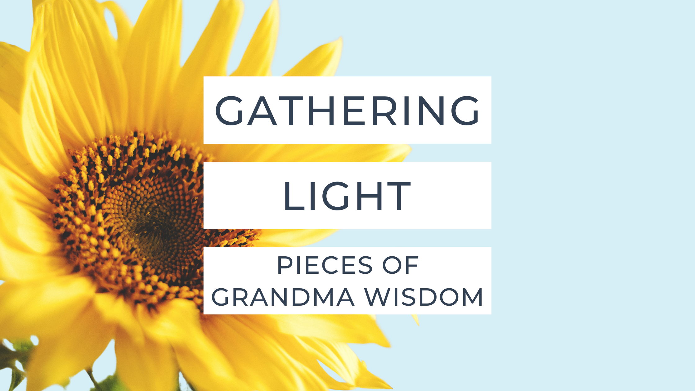 Gathering Light