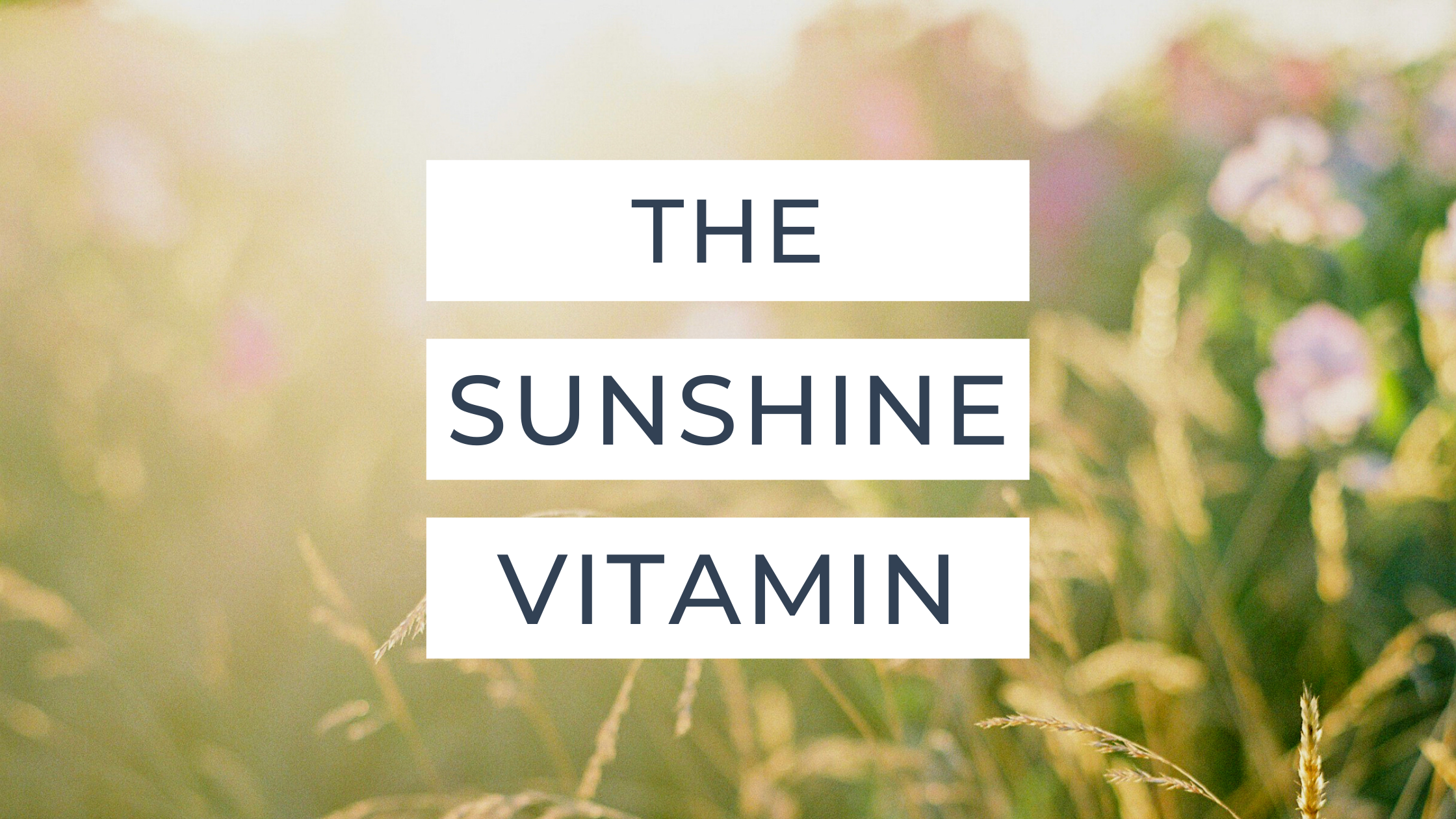 Vitamin D, The Sunshine Vitamin 