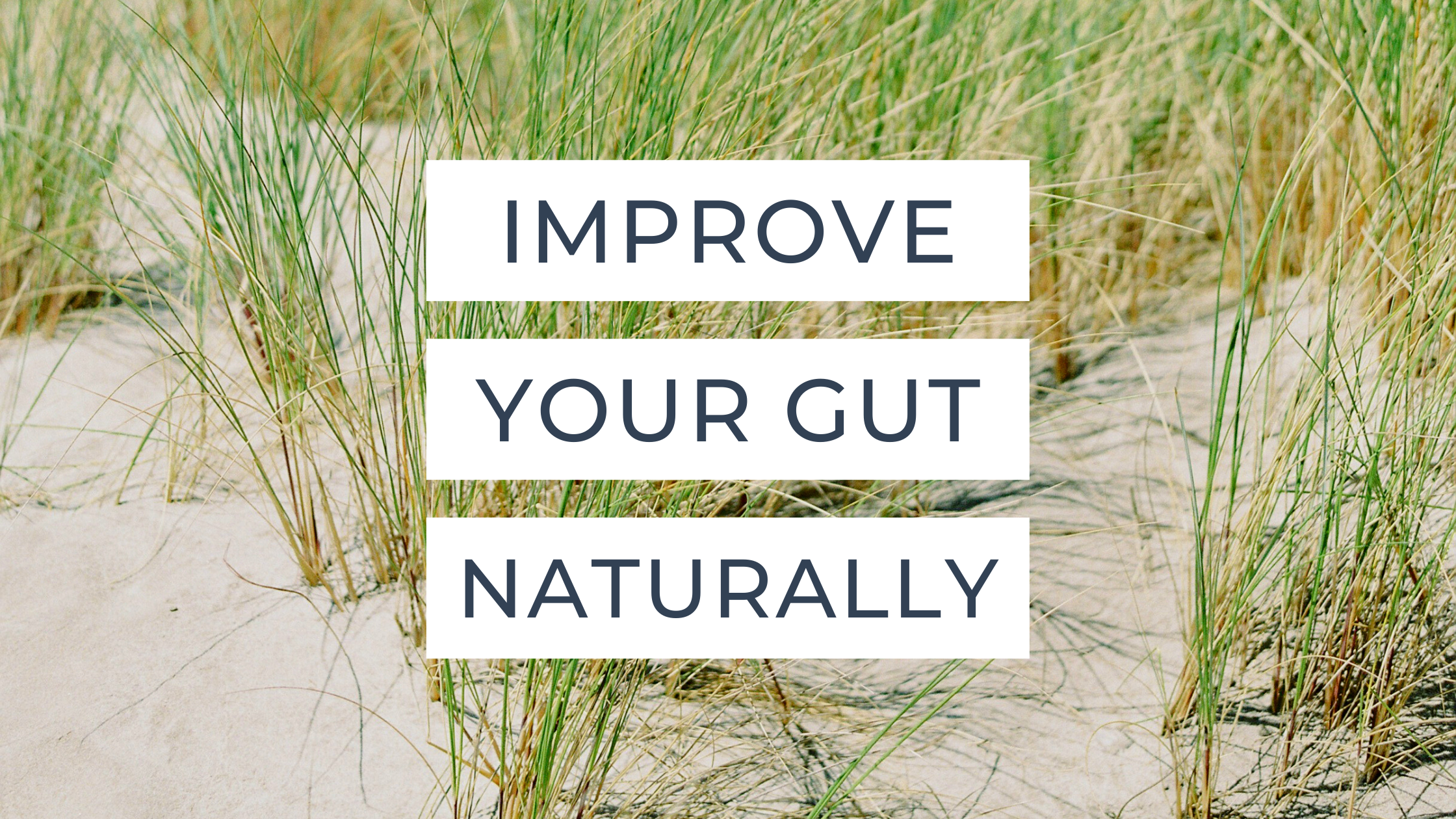 Improve your gut without supplements 