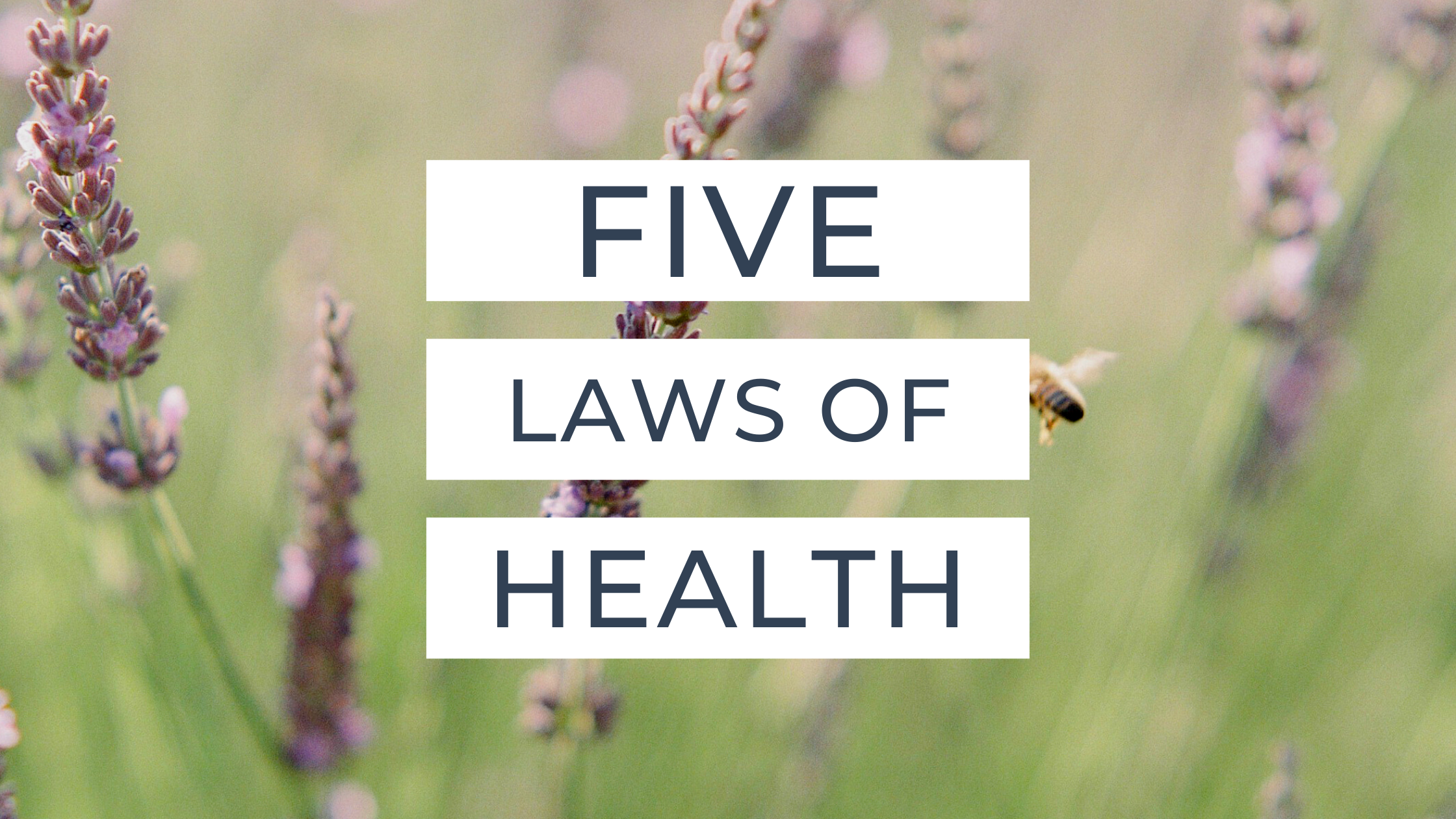 Five Laws of Health 